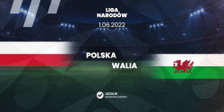 Polska – Walia – Kursy bukmacherskie