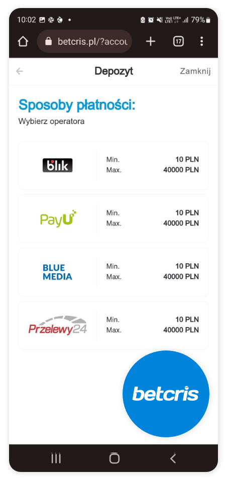 Betcris płatności